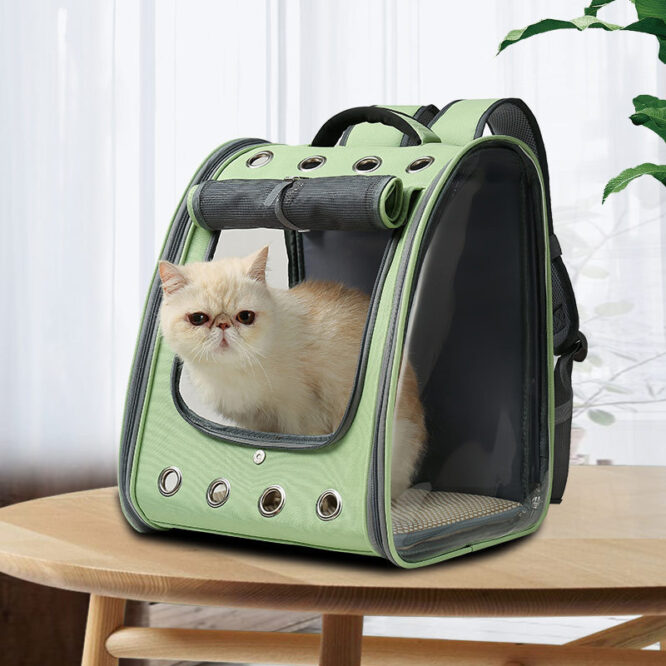 Pet Backpack Full Transparent PVC Pet Backpack - Image 2